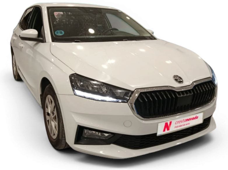 Imagen de Skoda Fabia