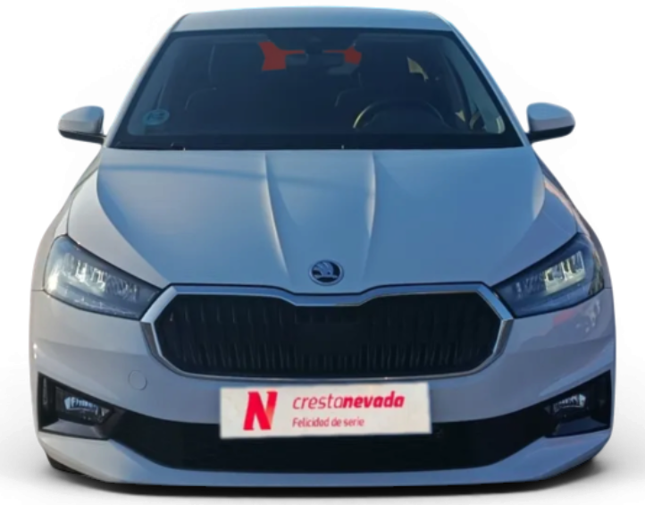 Imagen de Skoda Fabia