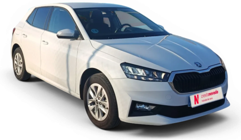 Imagen de Skoda Fabia