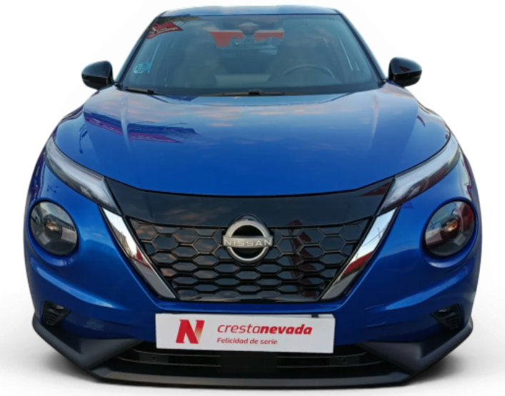 Imagen de NISSAN JUKE