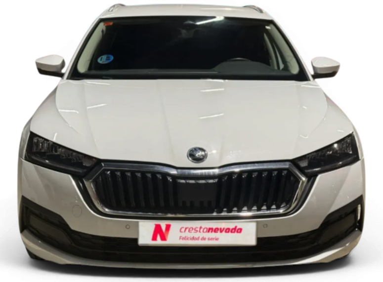 Imagen de Skoda Octavia