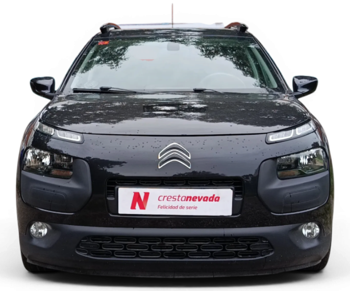 Imagen de CITROEN C4 Cactus