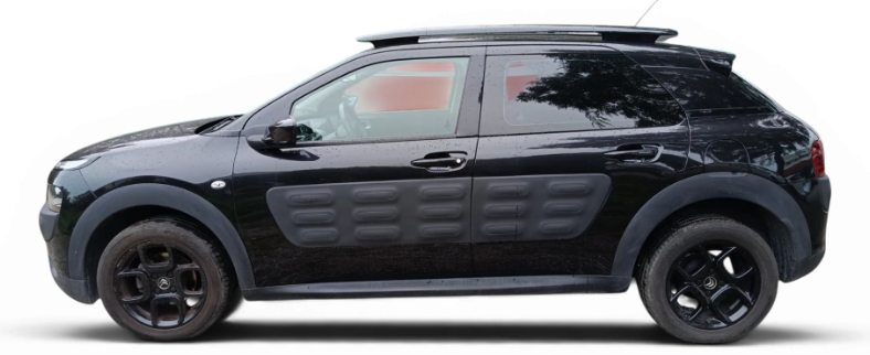 Imagen de CITROEN C4 Cactus
