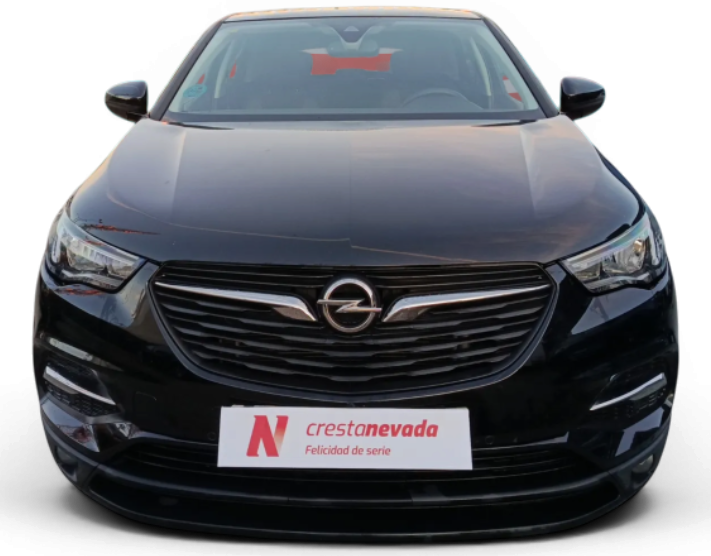 Imagen de Opel Grandland X