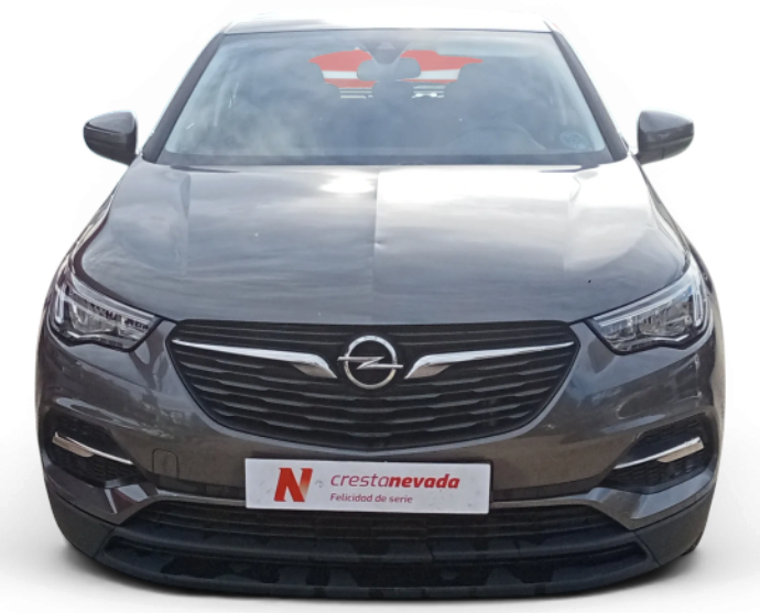 Imagen de Opel Grandland X