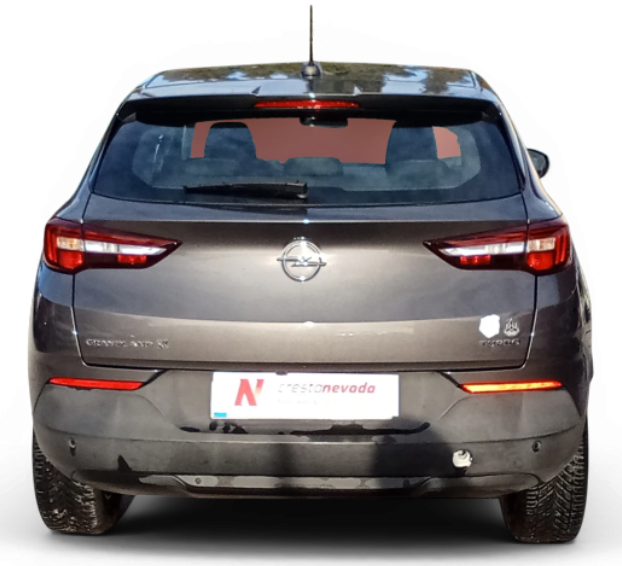 Imagen de Opel Grandland X