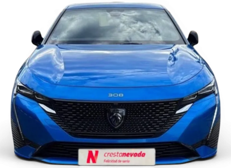 Imagen de Peugeot 308