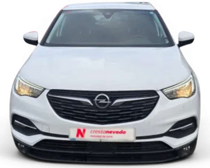 Imagen de Opel Grandland X