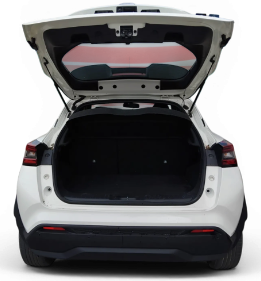 Imagen de NISSAN JUKE