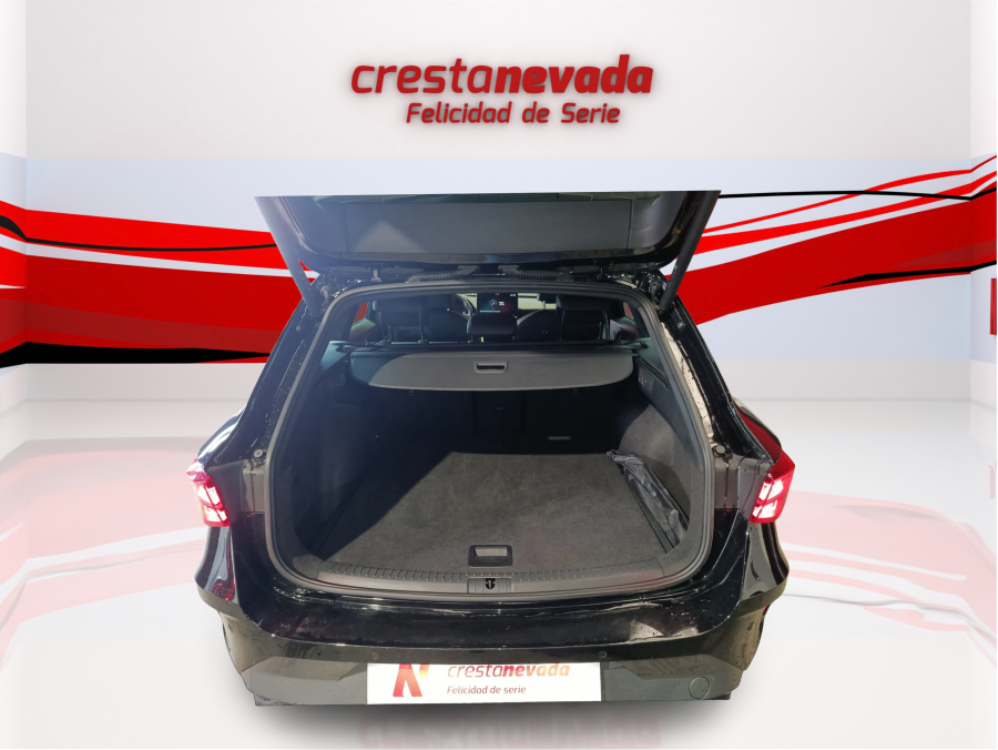Imagen de cupra León