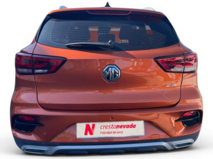 Imagen de Mg ZS