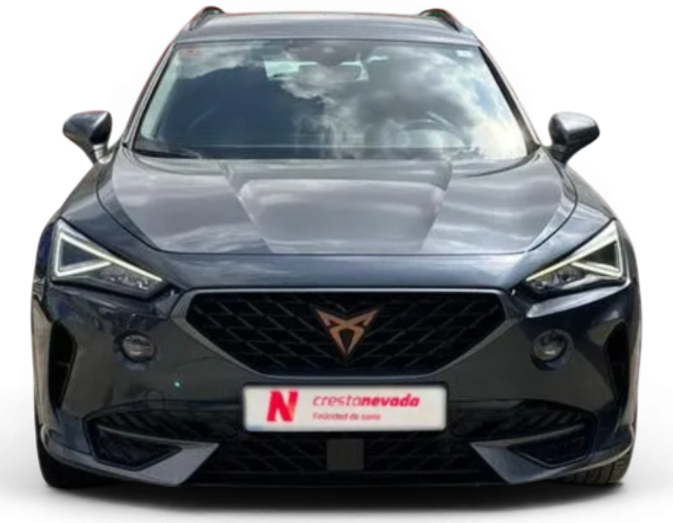 Imagen de cupra Formentor