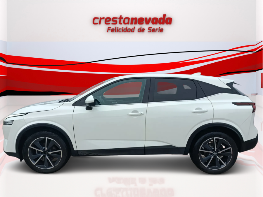 Imagen de NISSAN QASHQAI