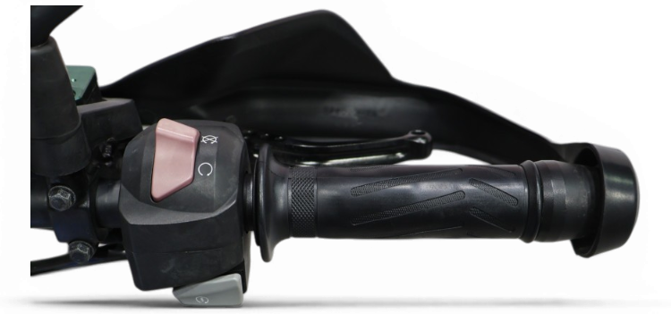 Imagen 9 de BMW G 310 GS Gasolina 34 CV