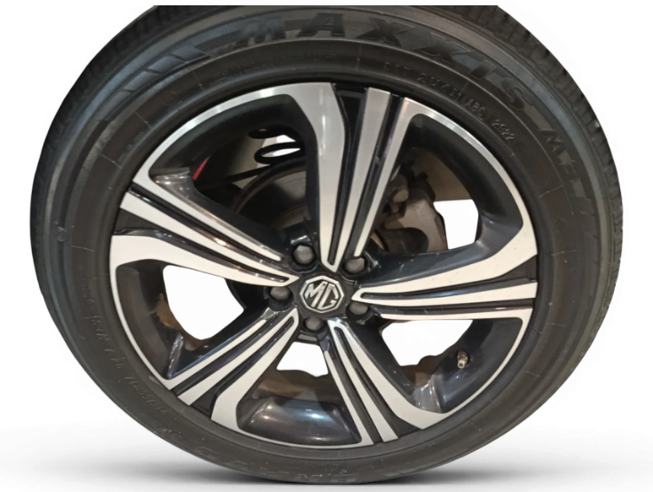 Imagen de Mg ZS