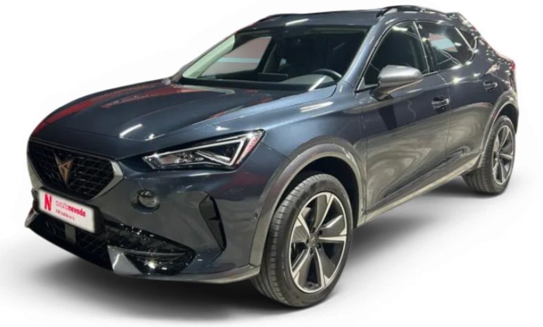 Imagen de cupra Formentor