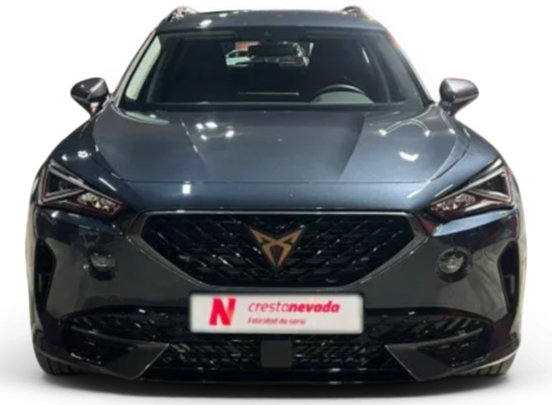 Imagen de cupra Formentor