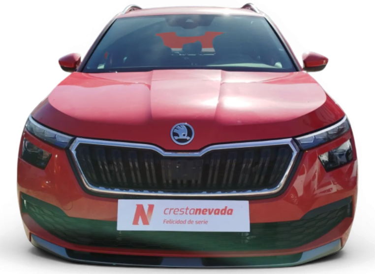 Imagen de Skoda Kamiq