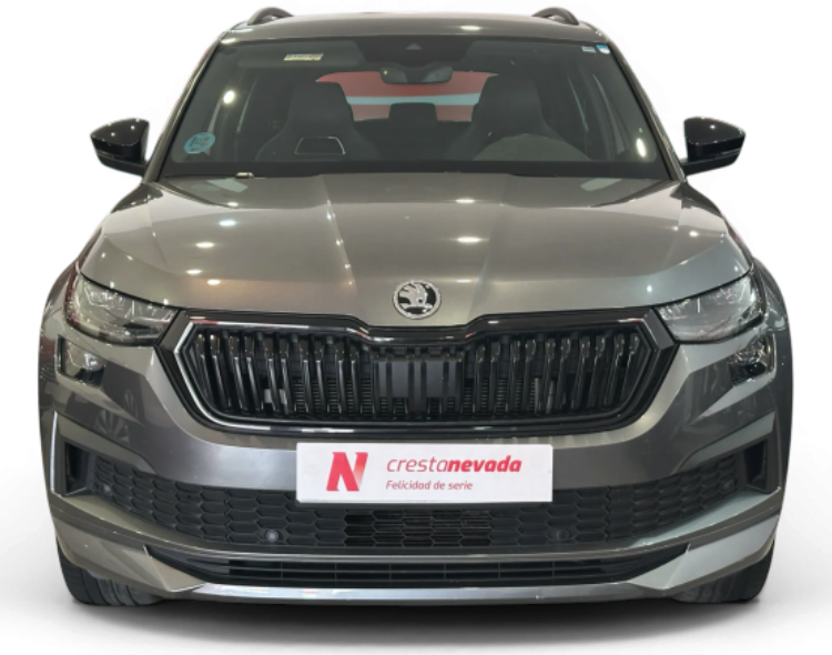 Imagen de Skoda Kodiaq