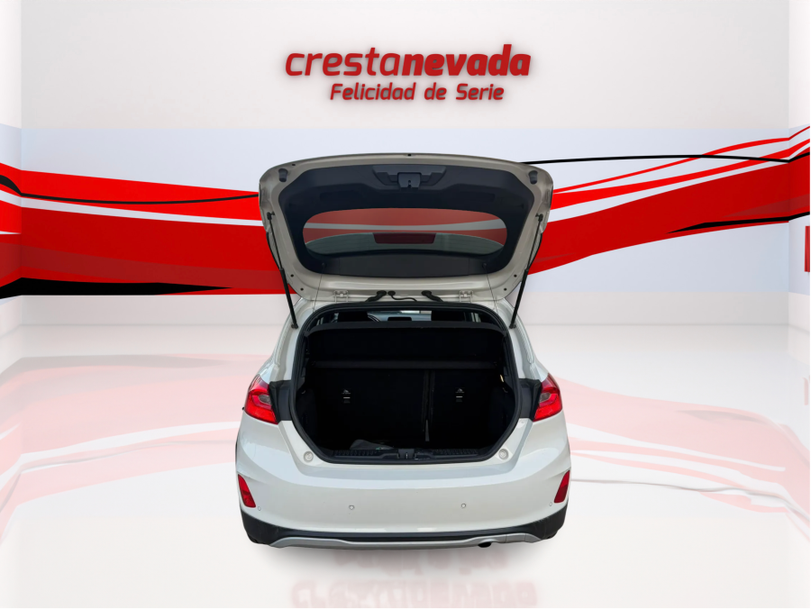 Imagen de Ford Fiesta