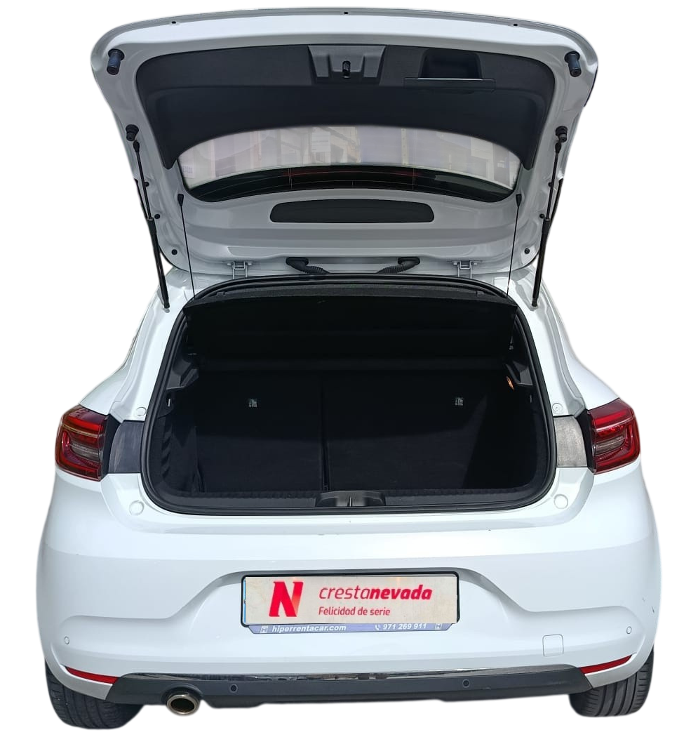 Imagen de Renault Clio
