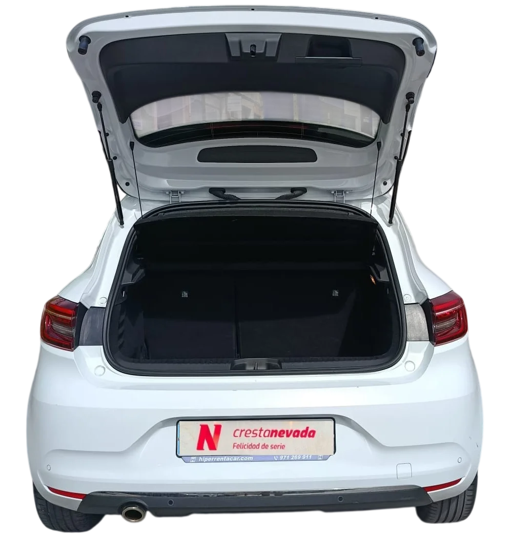 Imagen de Renault Clio
