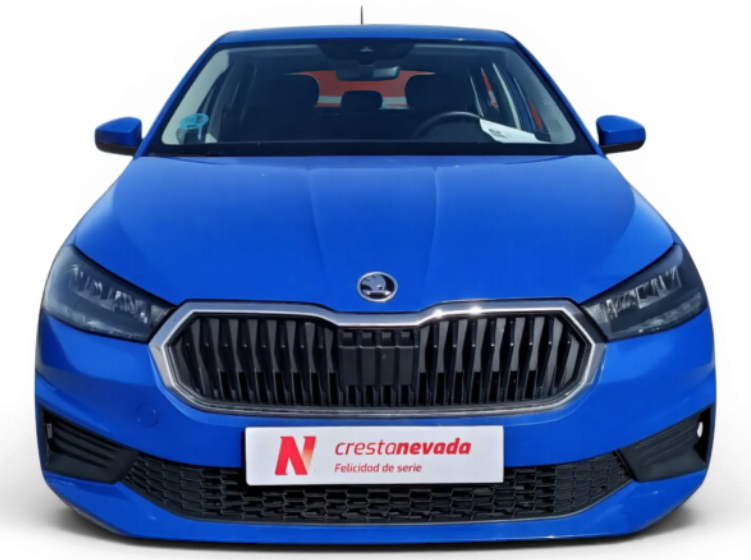 Imagen de Skoda Fabia