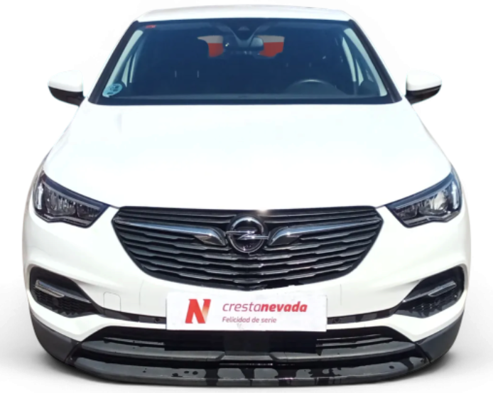 Imagen de Opel Grandland X