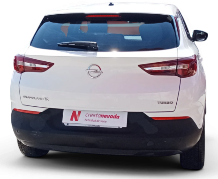 Imagen de Opel Grandland X