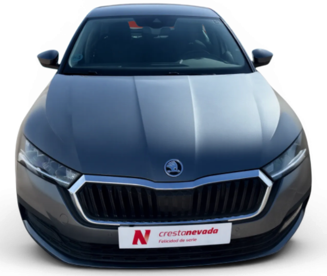 Imagen de Skoda Octavia