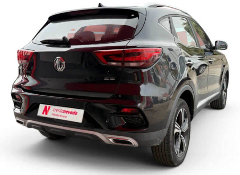 Imagen de Mg ZS