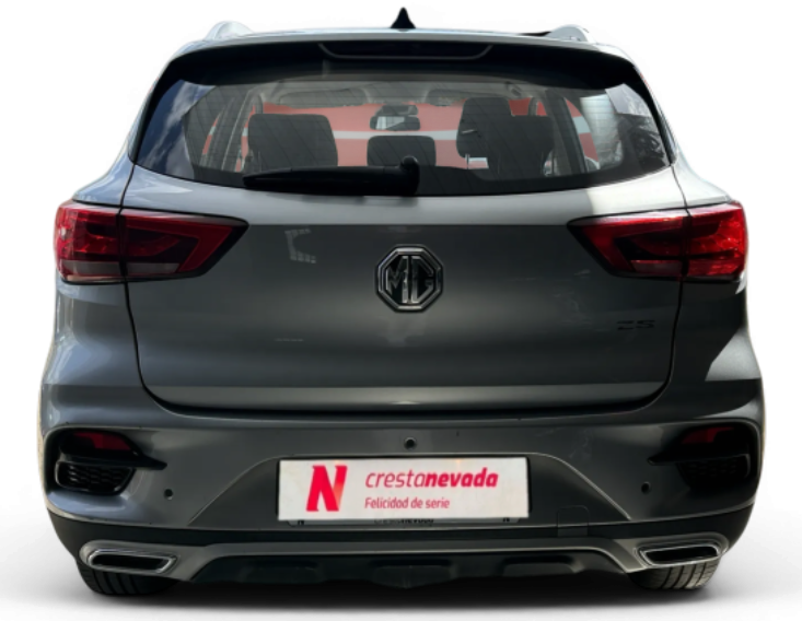 Imagen de Mg ZS