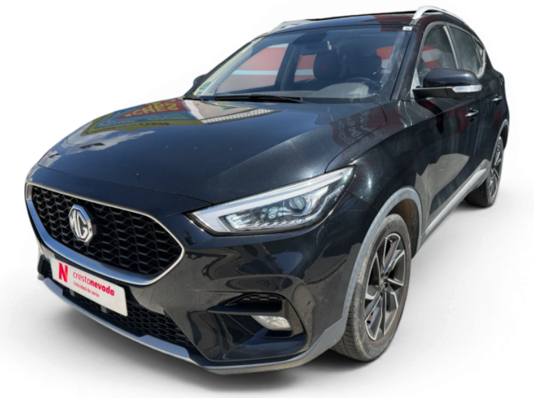 Imagen de Mg ZS