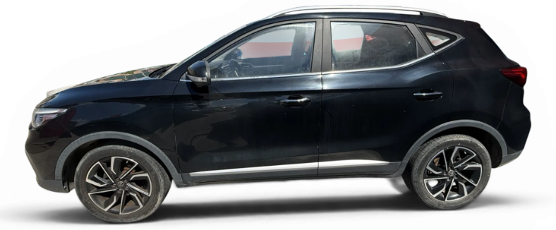 Imagen de Mg ZS