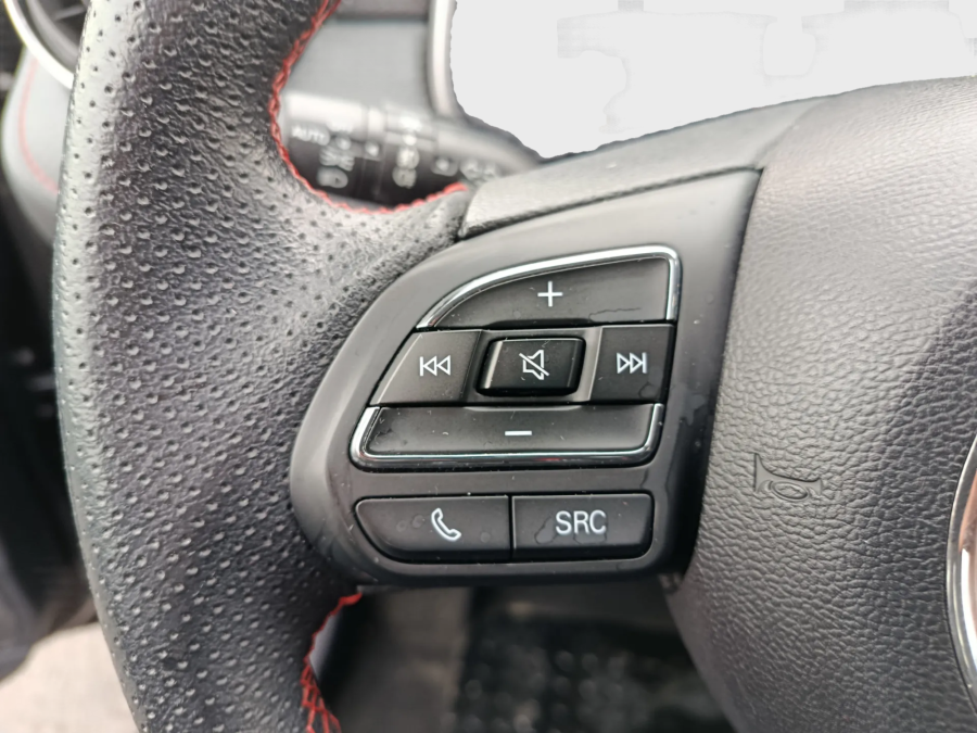 Imagen de Mg ZS