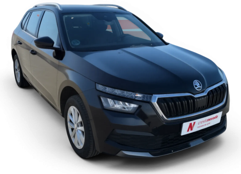 Imagen de Skoda Kamiq