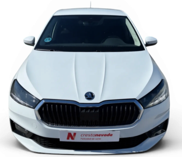 Imagen de Skoda Fabia