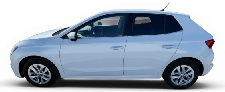 Imagen de Skoda Fabia