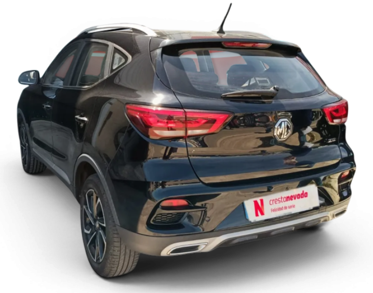 Imagen de Mg ZS