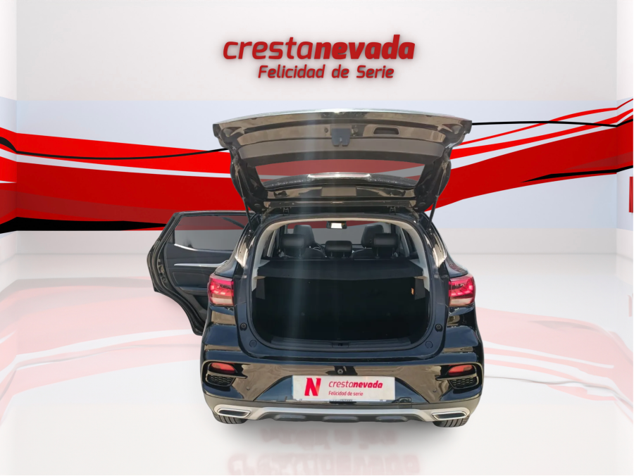 Imagen de Mg ZS