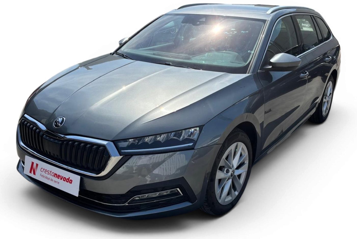 Imagen de Skoda Octavia