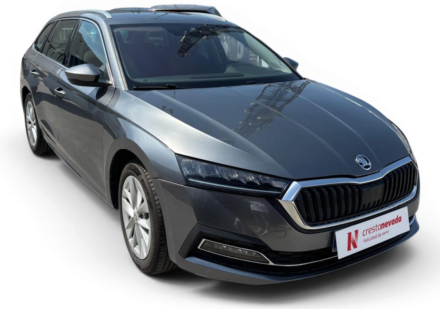 Imagen de Skoda Octavia