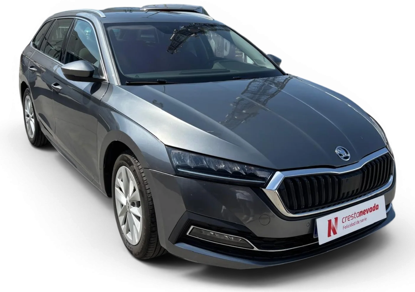 Imagen de Skoda Octavia