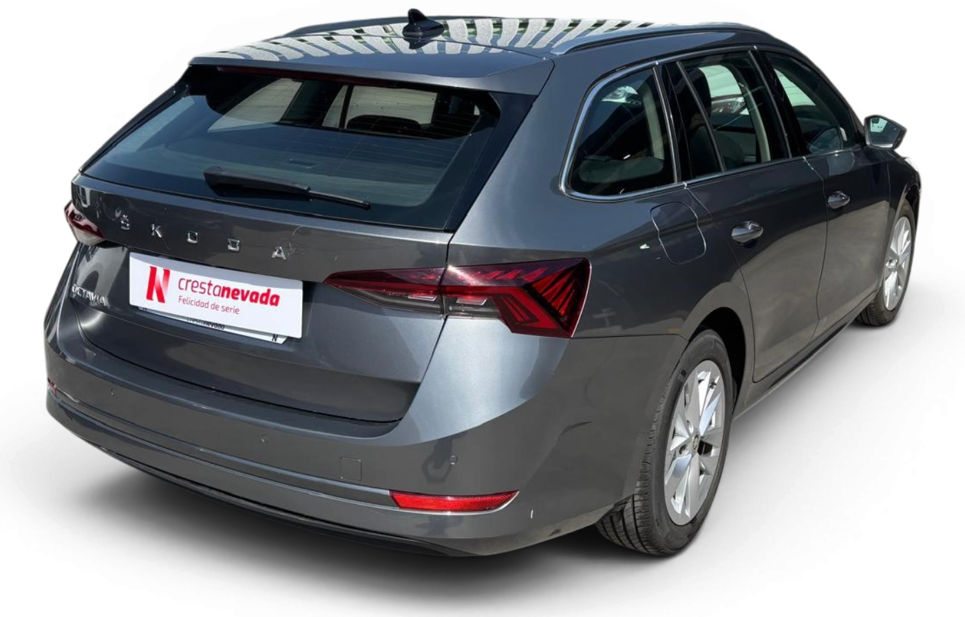 Imagen de Skoda Octavia