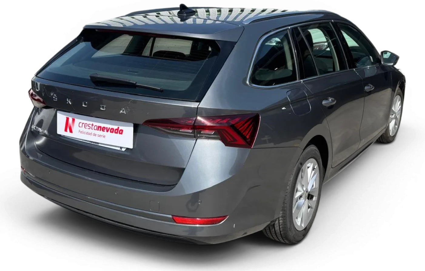 Imagen de Skoda Octavia