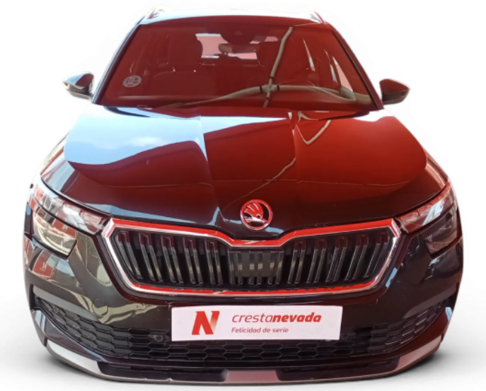 Imagen de Skoda Kamiq