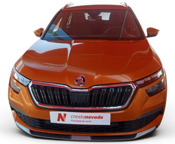 Imagen de Skoda Kamiq