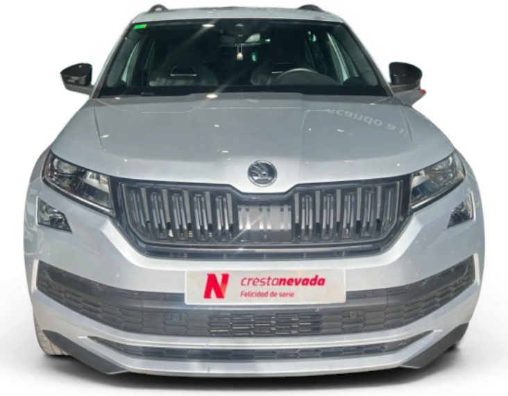 Imagen de Skoda Kodiaq