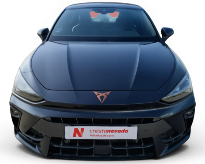 Imagen de cupra León