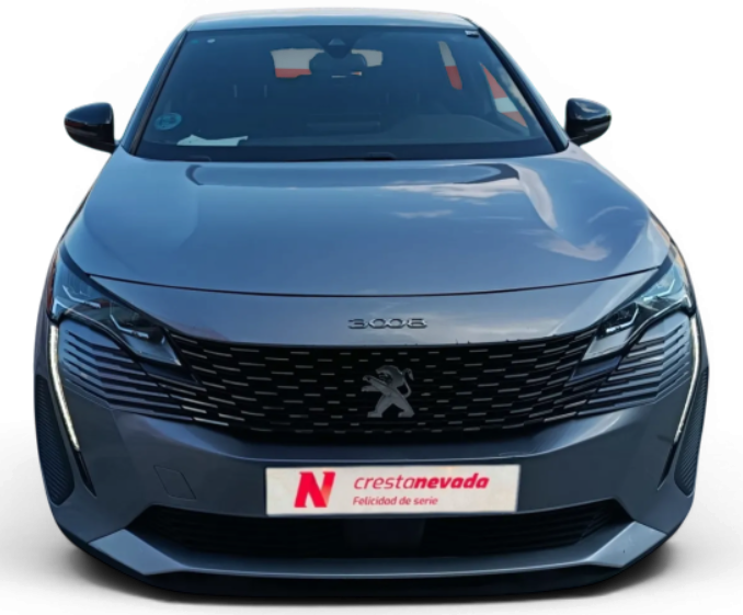Imagen de Peugeot 3008